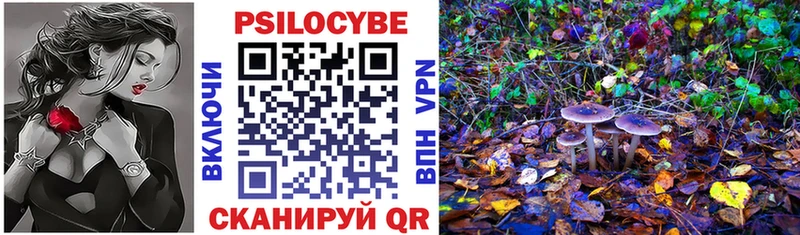 где купить наркоту  Новый Оскол  Галлюциногенные грибы прущие грибы 